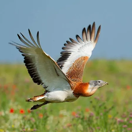 - Cerro Mar Star - Cozy And Relaxing T1 Διαμέρισμα *