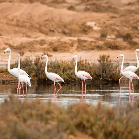 - Cerro Mar Star - Cozy And Relaxing T1 Αλμπουφέιρα