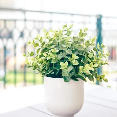 - Cerro Mar Star - Cozy And Relaxing T1 阿尔布费拉